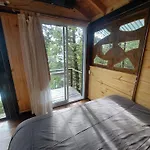 Casita Moderna En El Bosque